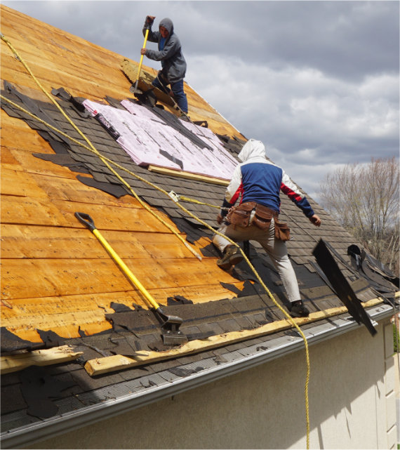 Colorado Roofing and Restoration Roofers Professionally Installing a Roof